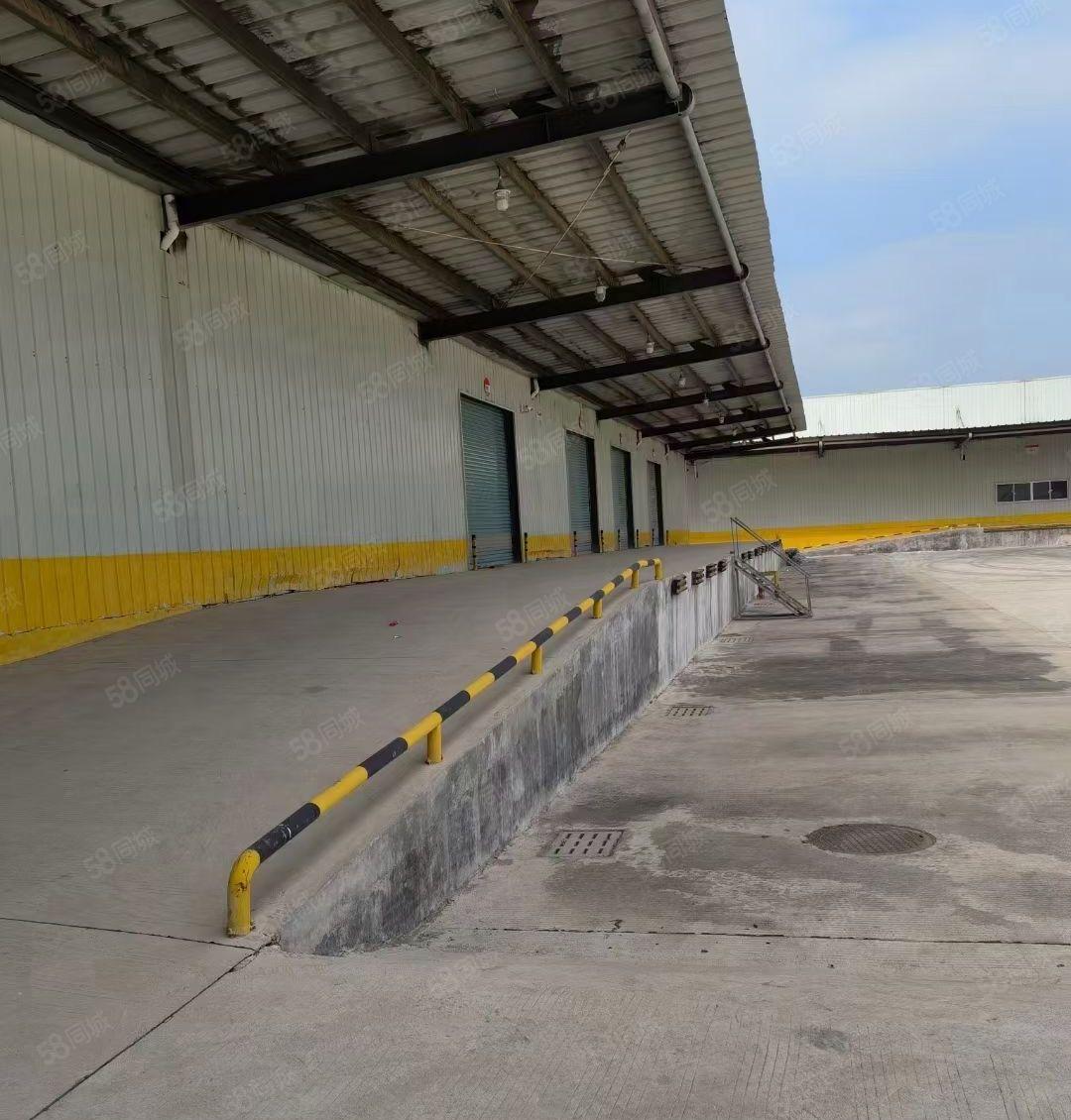 博罗新出单一层厂房招租