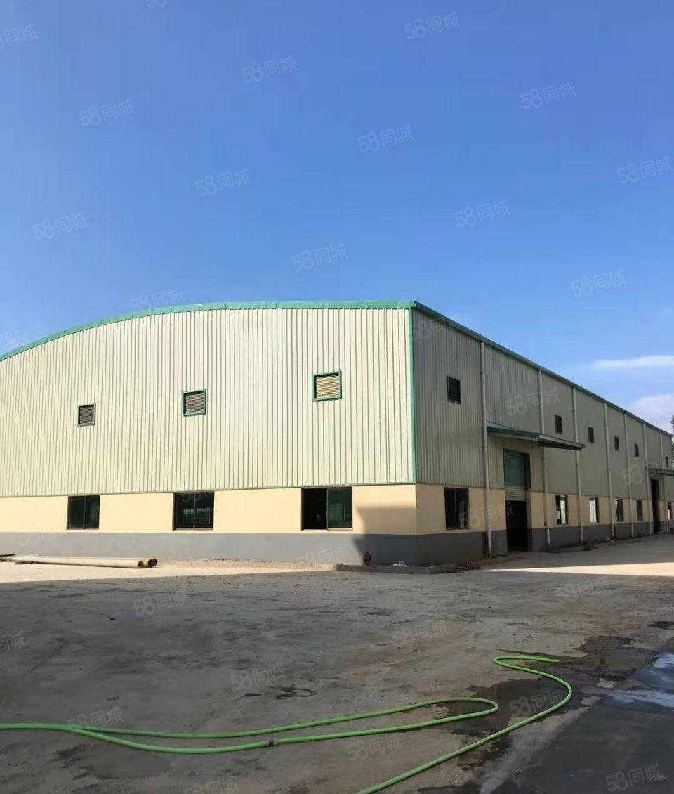园洲镇独院单一层厂房5300平方，宿舍800平，可分租！