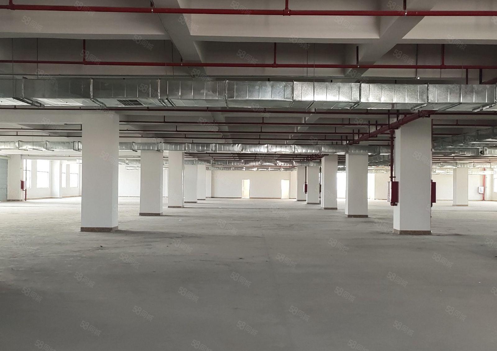 园洲高新产业园花园式全新重工业红本双证厂房政府扶持项目