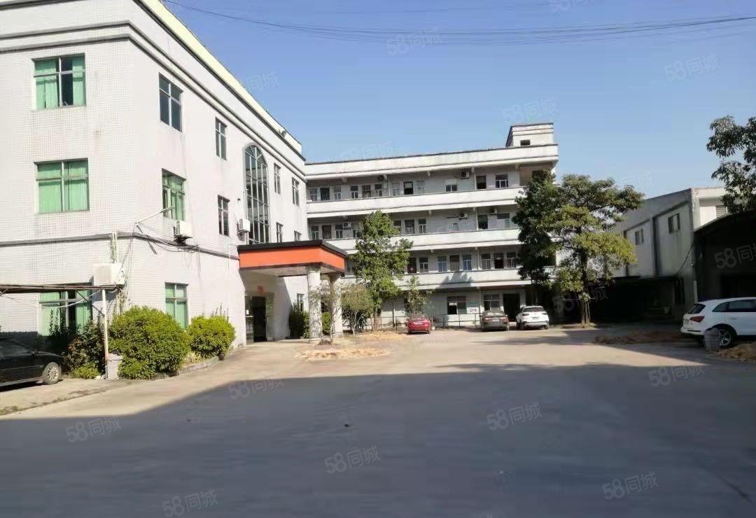 龙溪龙桥大道单一层加标准厂房24500平方出租