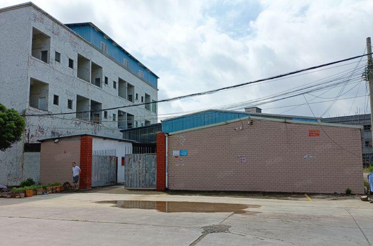 园洲镇新出一小钢构厂房