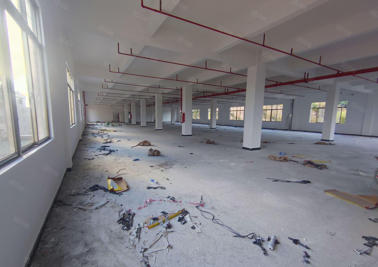 惠州博罗小金口原房东实际面积标准厂房出租高度5米以上