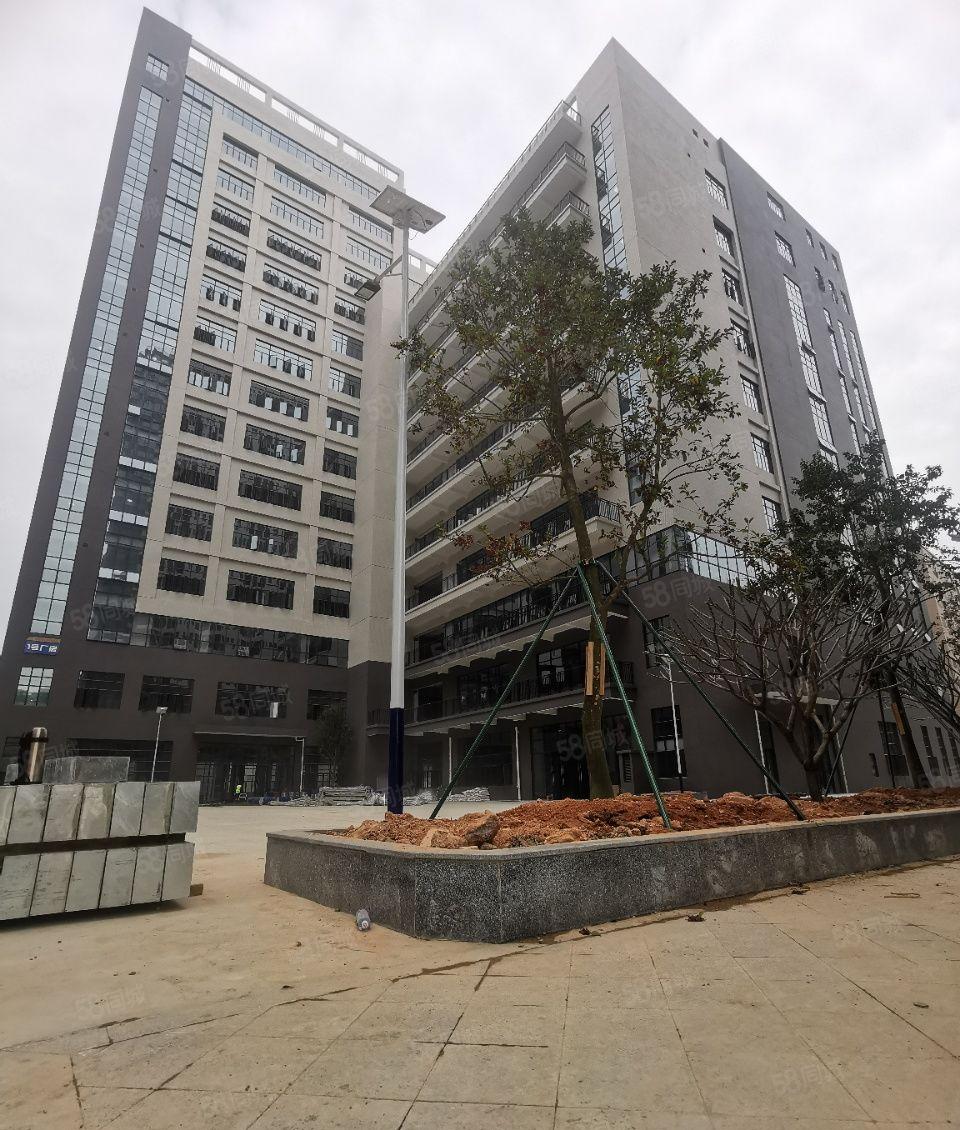 龙溪镇周边都是大型工业园 上市工业区，原房东一手招租