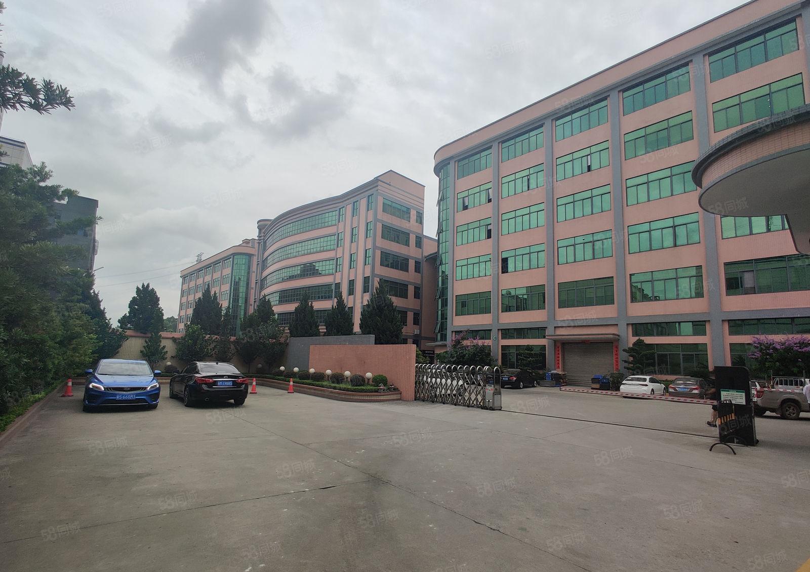 原房东独门独院红本厂房现成排污证两部三吨电梯可分租