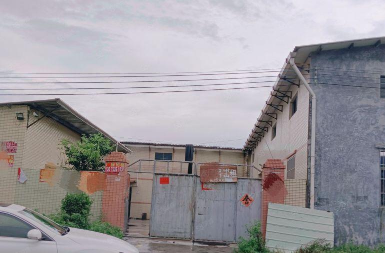 博罗县园洲原房东独院厂房出租砖墙到顶滴水8米1300平方独院