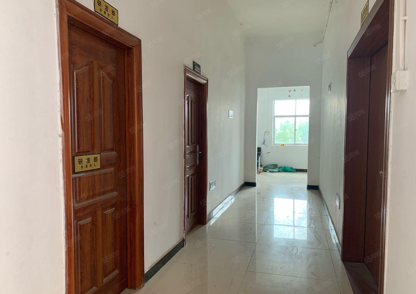 园洲镇独门独院厂房总面积12000方钢构，滴水9.5米