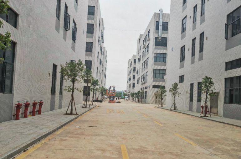 原房东8块钱，全新标准厂房单层4800平，车间长度160米