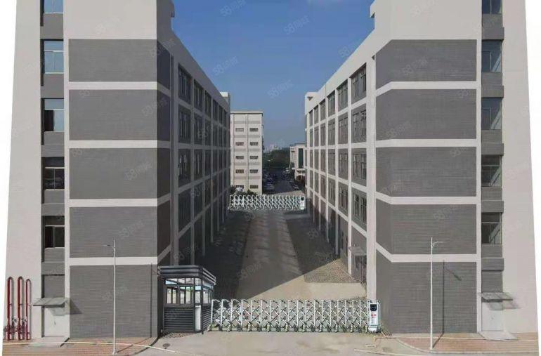 独门独院红本标准厂房