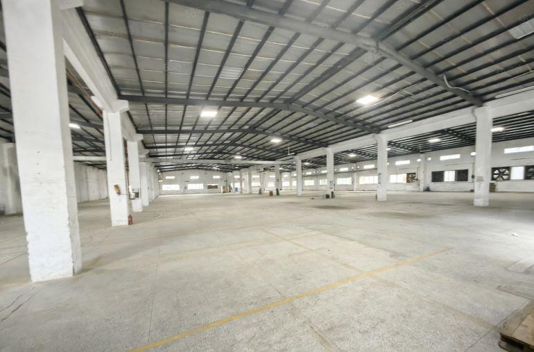 罗阳镇3000平钢构厂房出租，博罗大道边，可分租，原房东厂房