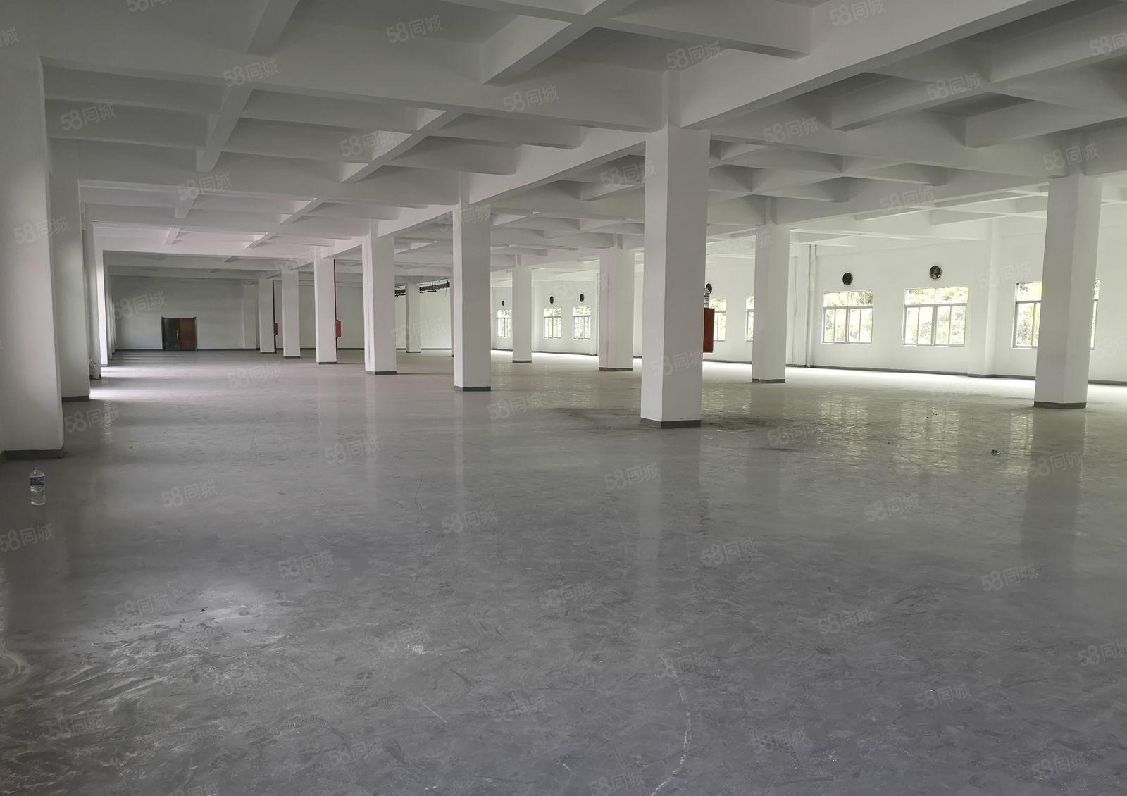 石湾镇原房东独院10000平标准厂房出租 园区空地大可办环评