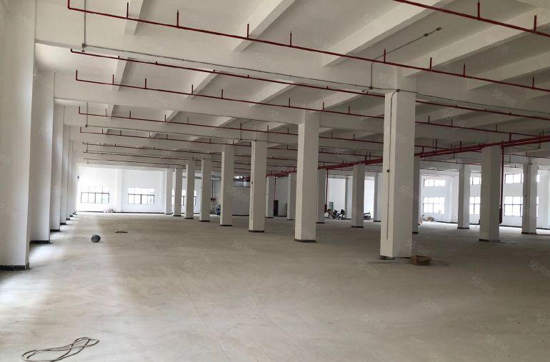 惠州石湾镇原房东独院厂房12500平出租带红本实量面积12块