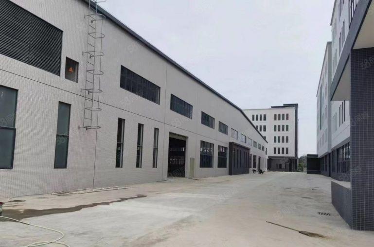 园洲全新红本标准钢构12万平方