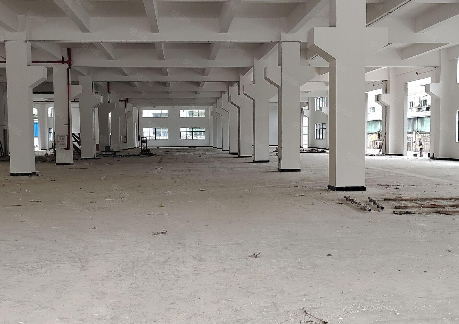 石湾镇全新原房东厂房出租