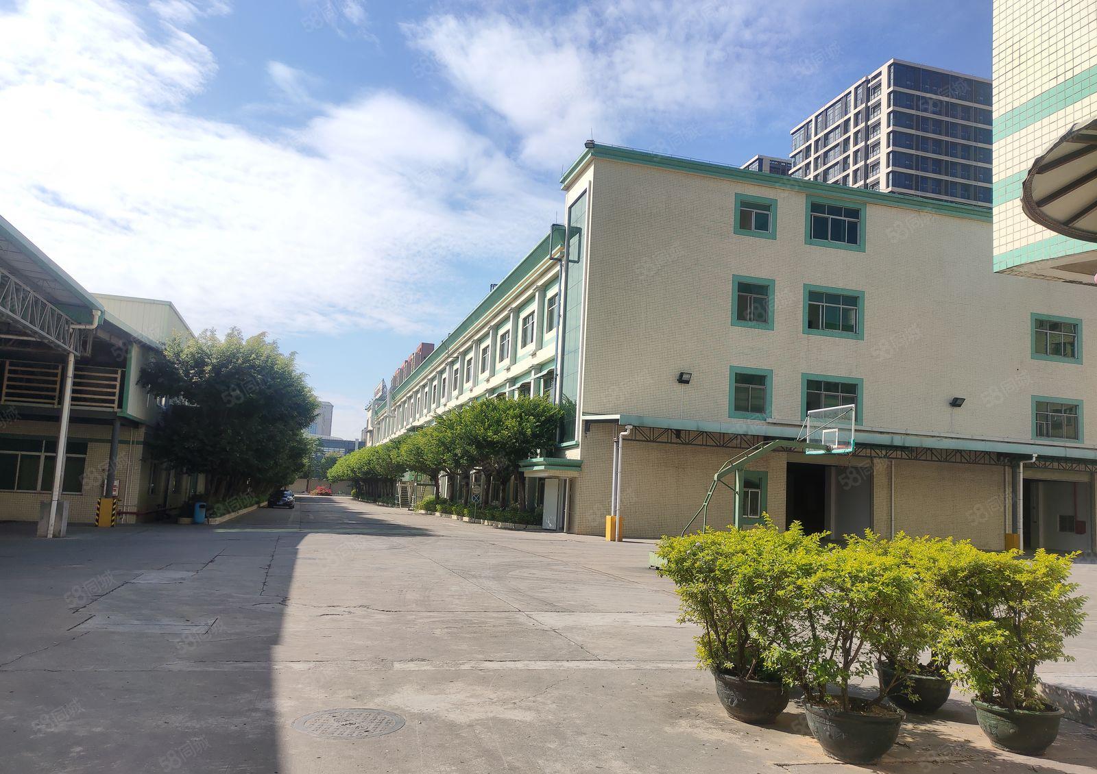 9元起原房东2万平方博罗石湾园洲重工业钢构厂房仓库一楼出租