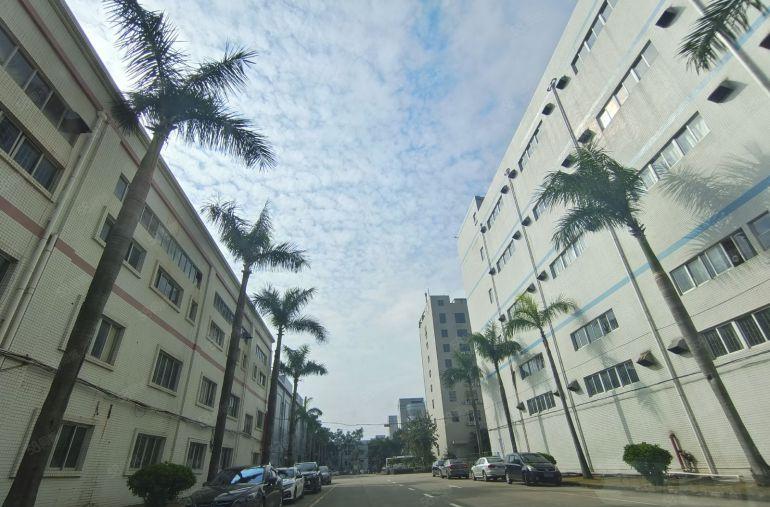 惠州石湾原房东厂房1000平带卸货平台靠高速可办环评实际面积