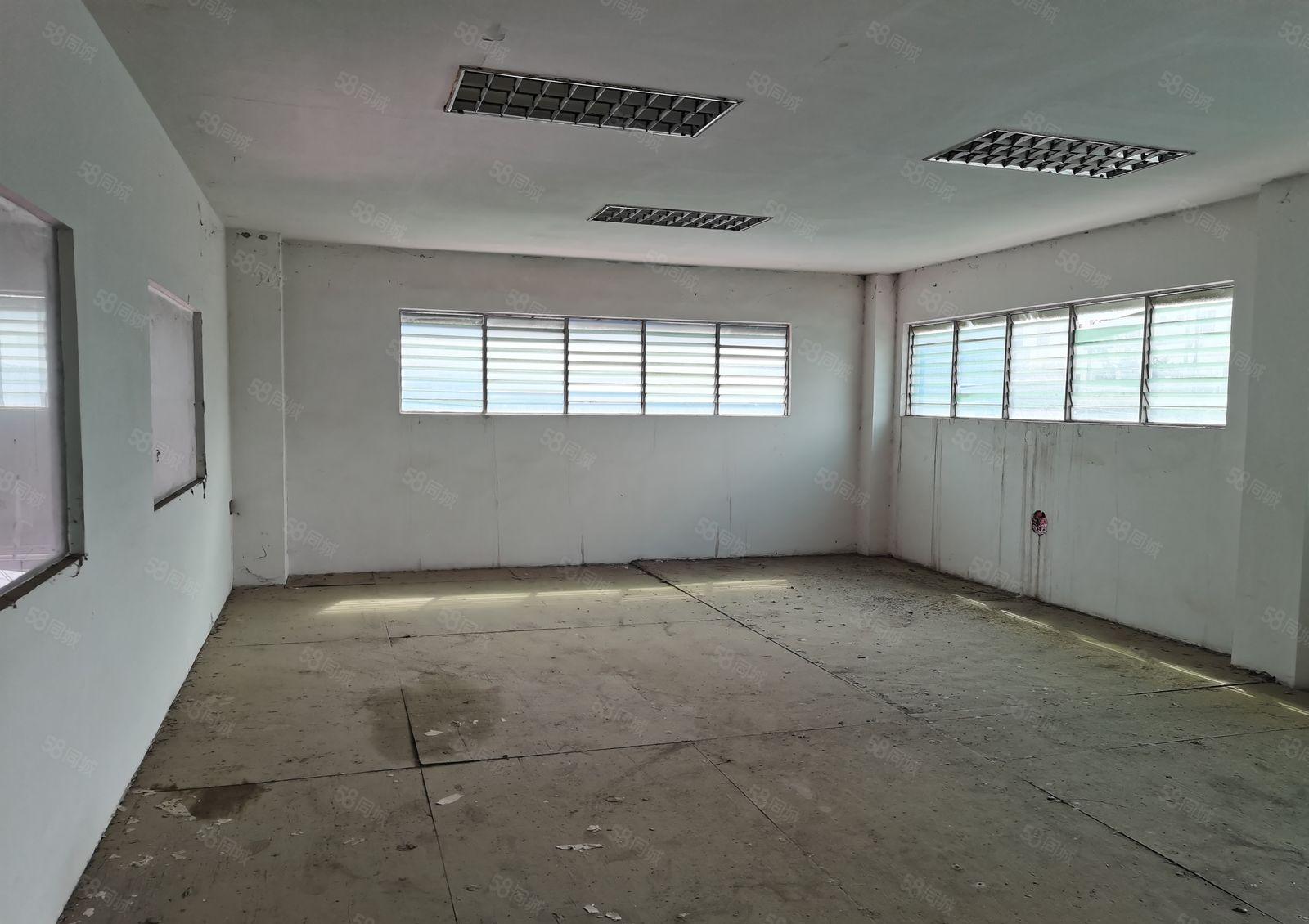 石湾镇科技园独立1000平方厂房出租