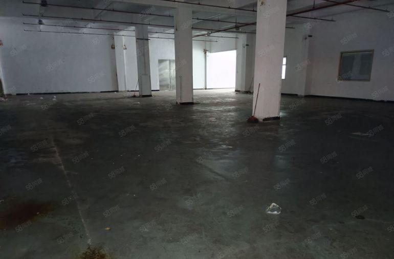 独门独院红本工业园区一楼招租，可办环评，交通便利，易招工