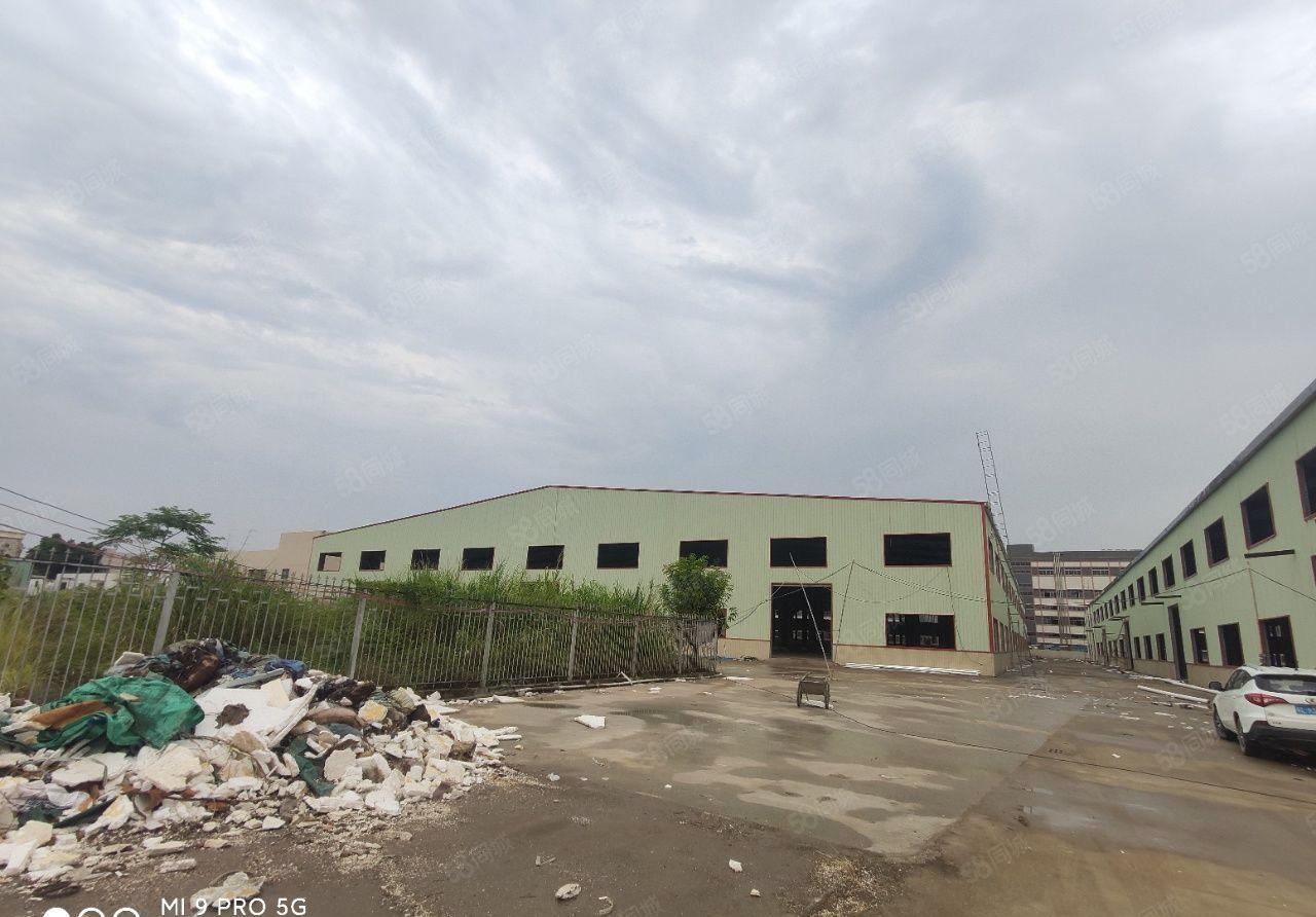 1000平方起租，石湾科技园新建滴水10米单一层厂房出租。