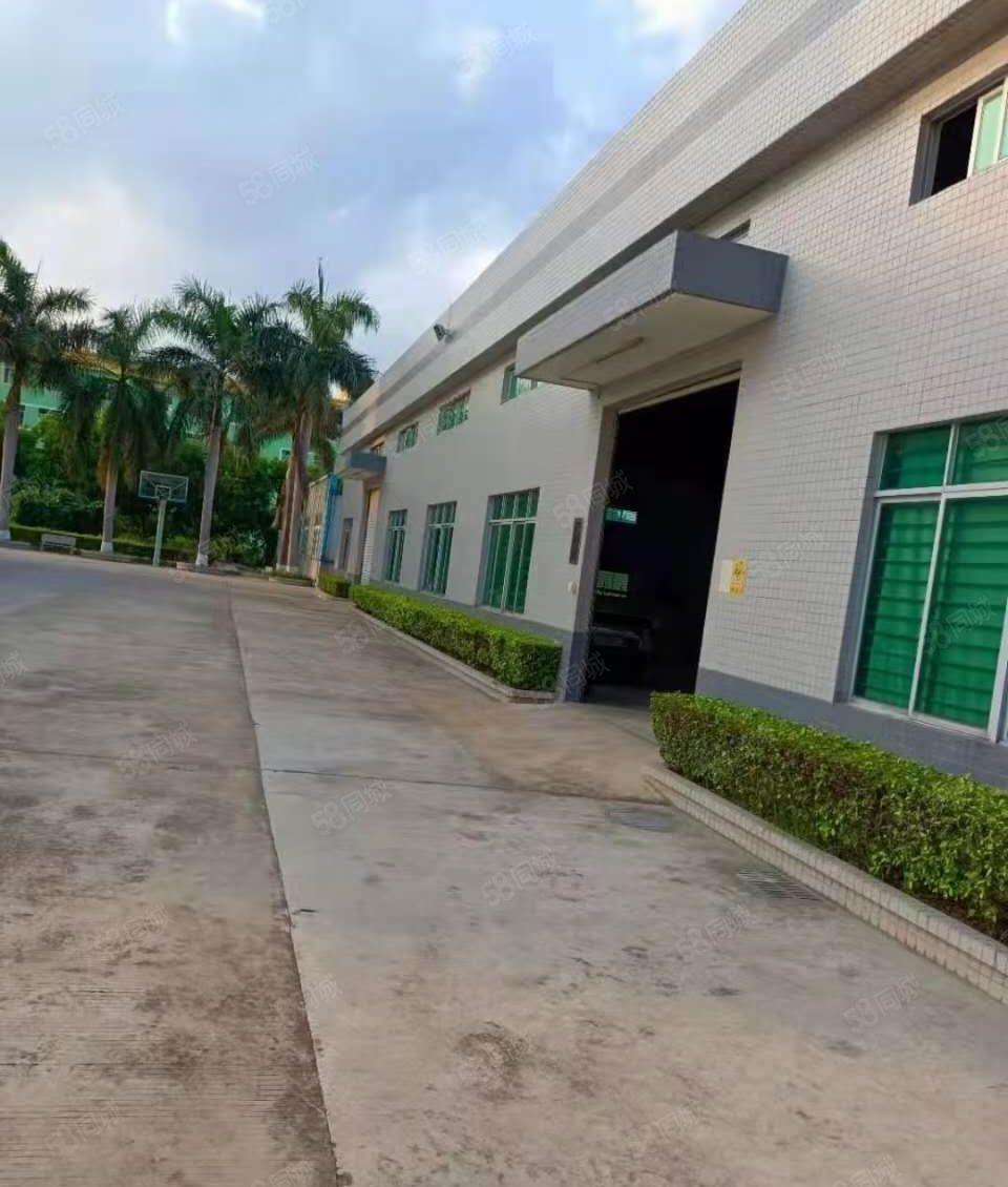 石湾原房东急用钱10元低价花园式独栋厂房出租实际面积无公摊