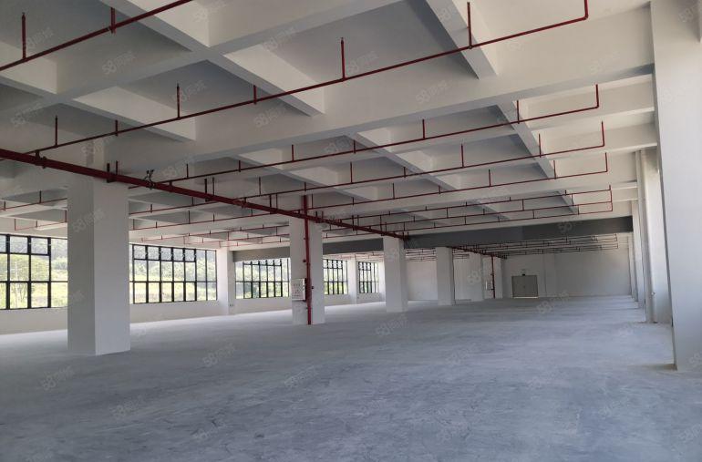 博罗县罗阳厂房出租，工业园区，标准厂房，证件齐全，带卸货平台