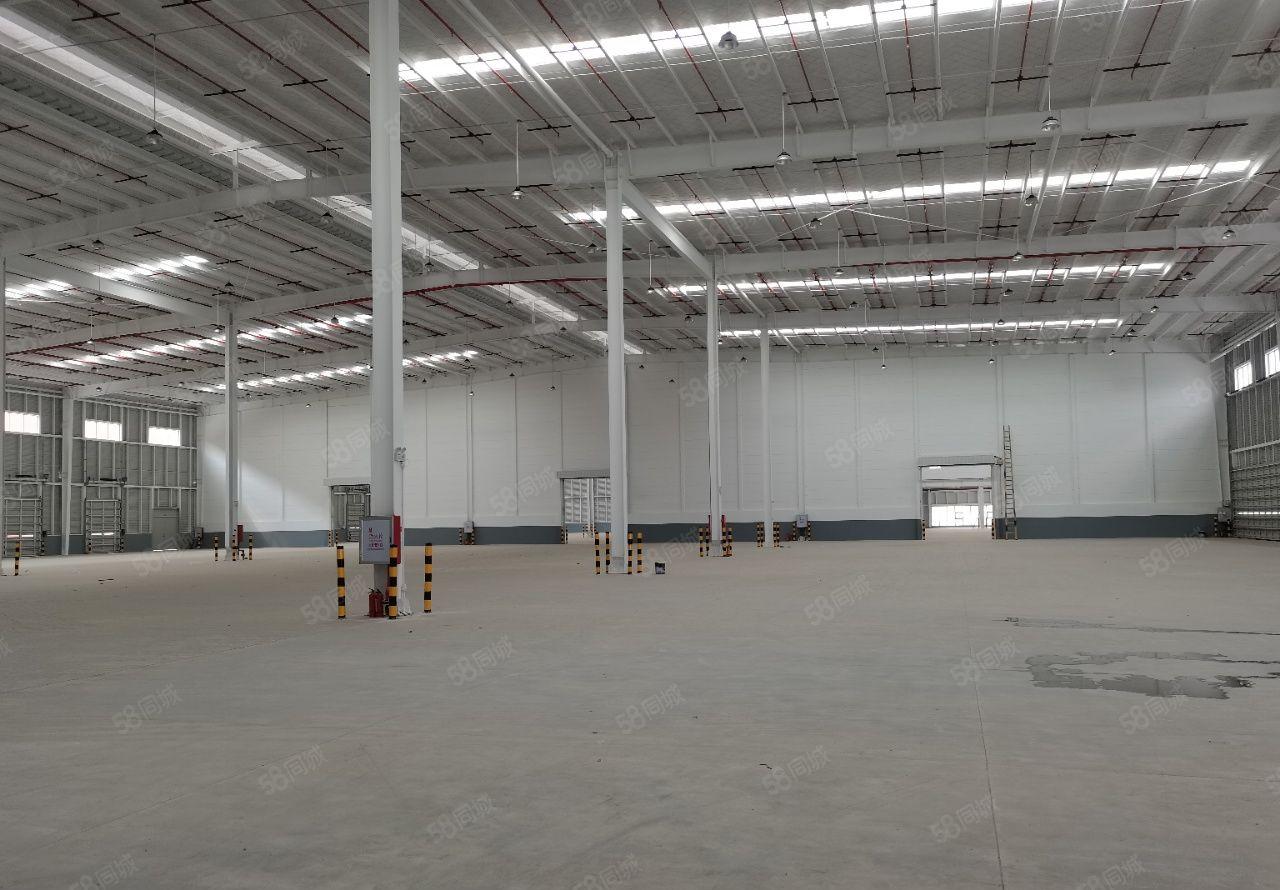 园洲工业区独院单一层滴水9米厂房出租