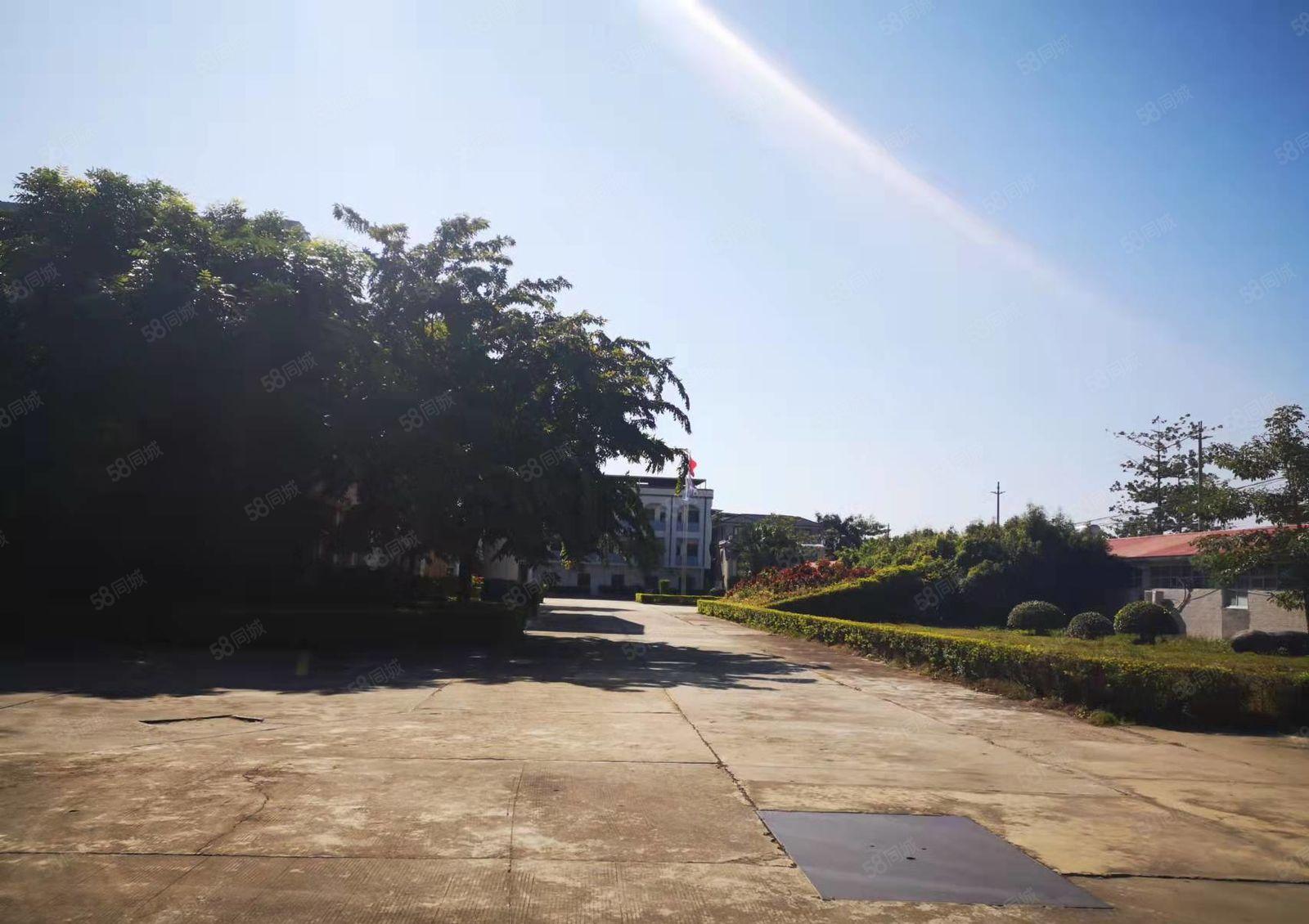 博罗龙华国道边上可办环评10米高单层厂房 1000平方起租