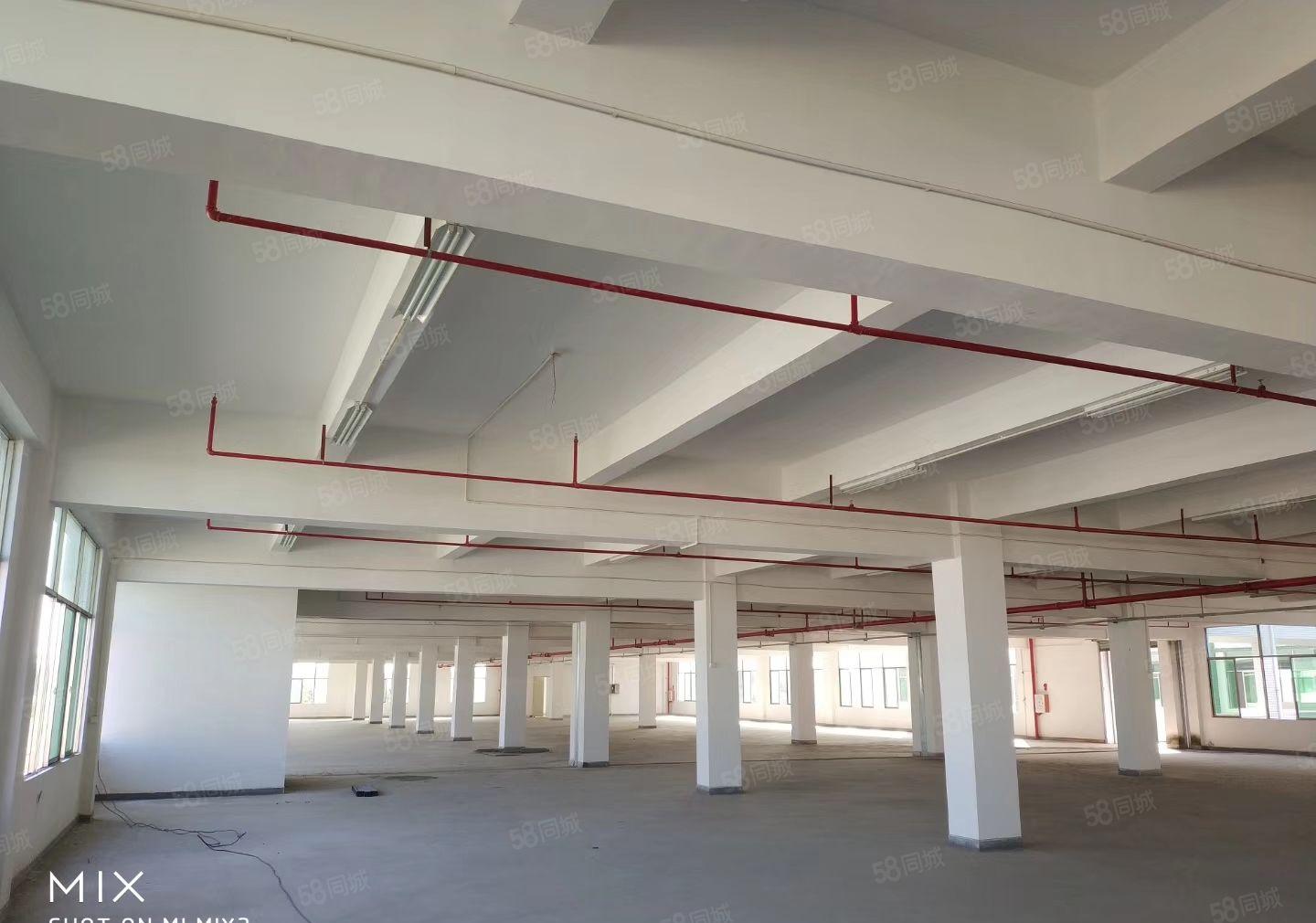 惠州市博罗县园洲镇，红本独门独院标准厂房出租，可办环评