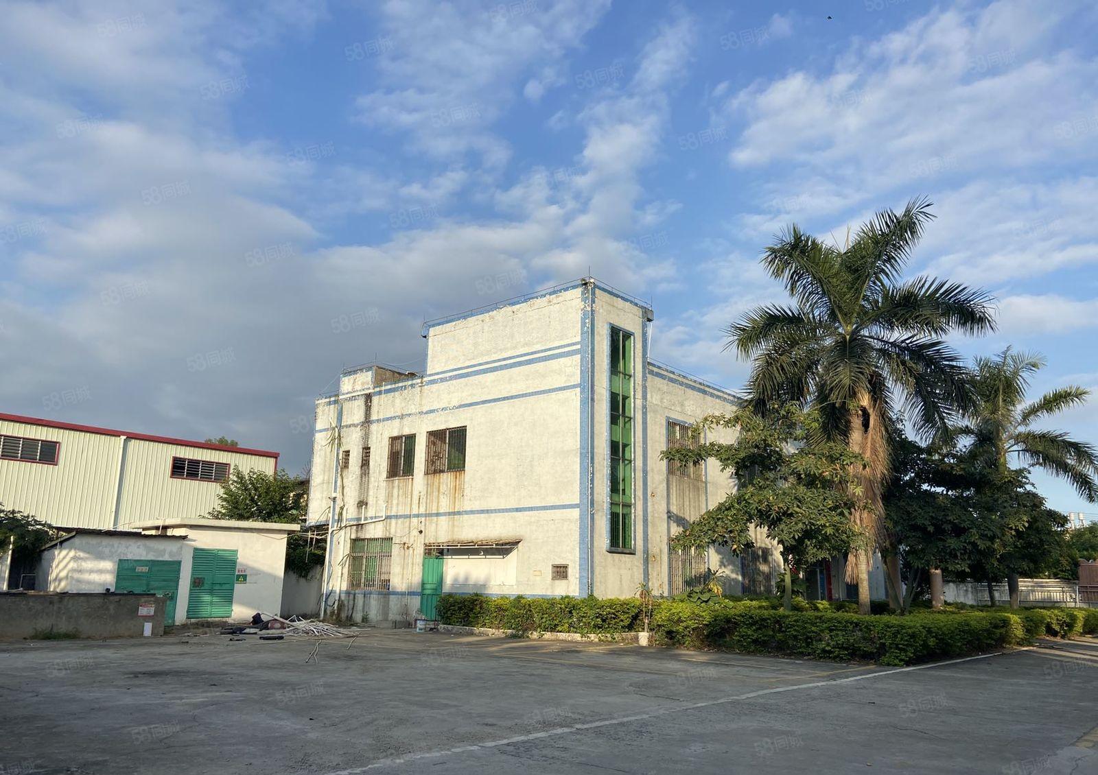 新出原房东独院砖墙带红本单一层4150平方带独立办公楼宿舍