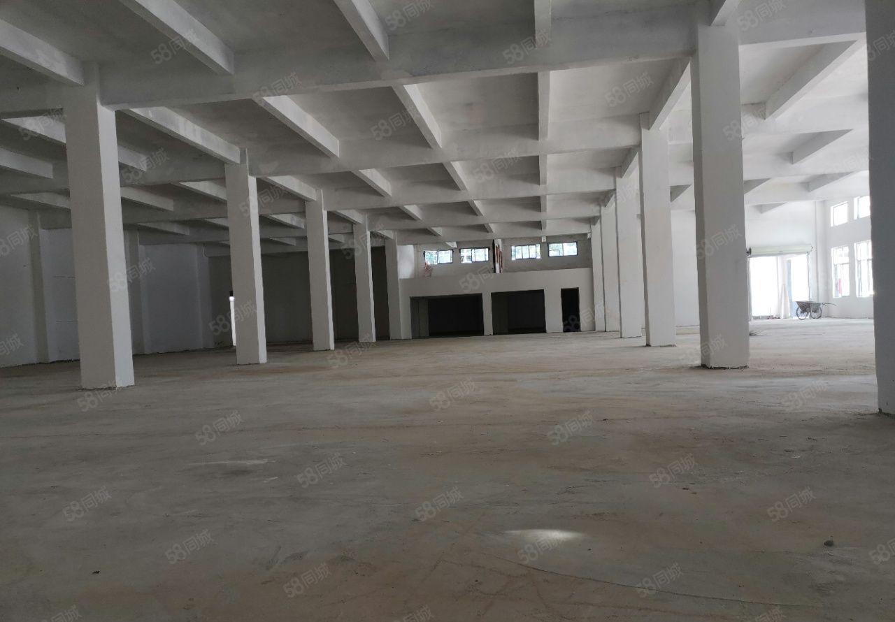 博罗独院厂房出租2000平方，空地1500，带天然气可办环评