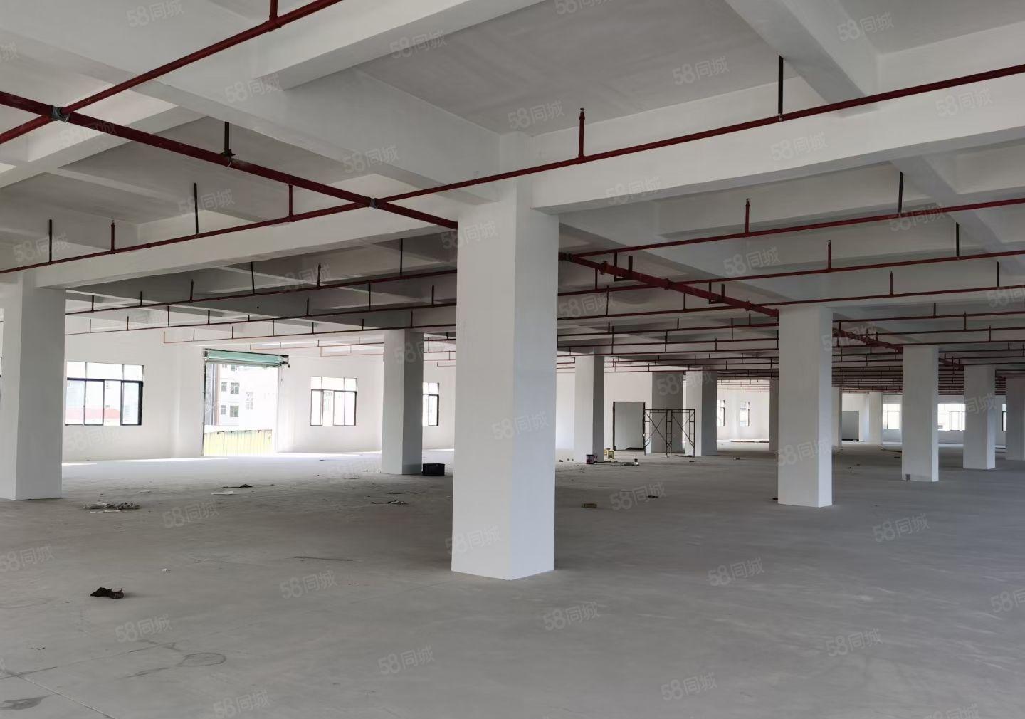 石湾科技园全新独院分租四楼6600平方