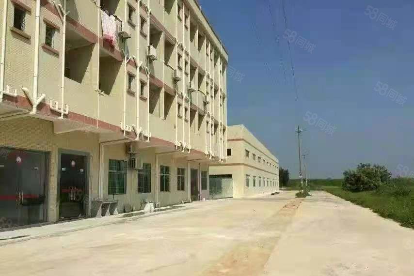 博罗县石湾镇2000平方单一层厂房出租