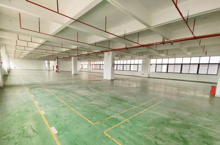 博罗园洲原房东50000平红本厂房大小分租