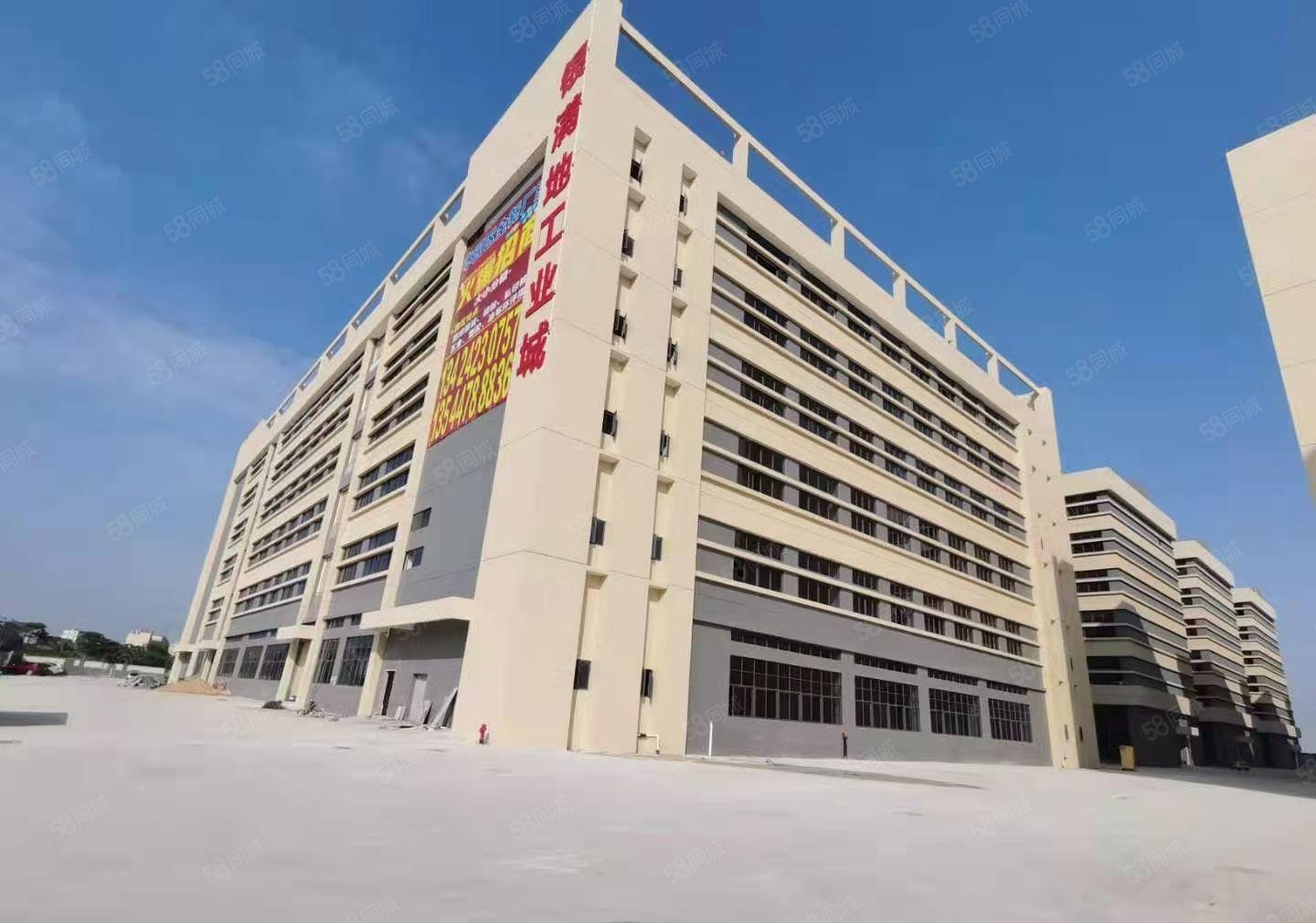 园洲全新标准厂房，原房东分租！价格便宜，现成装修！