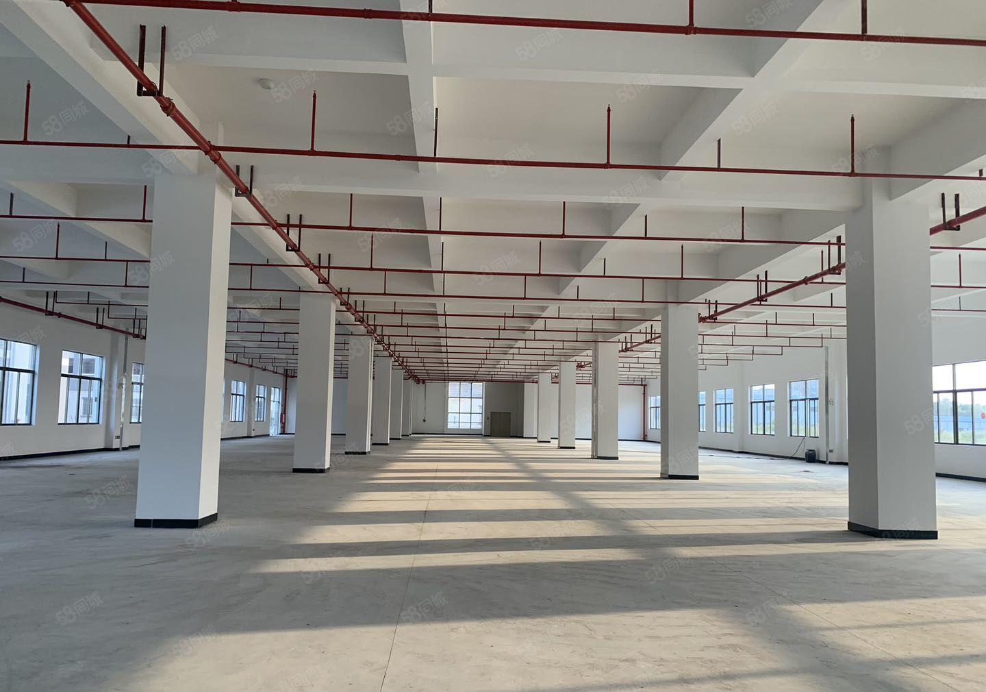 石湾原房东红本双证重工业标准厂房出租