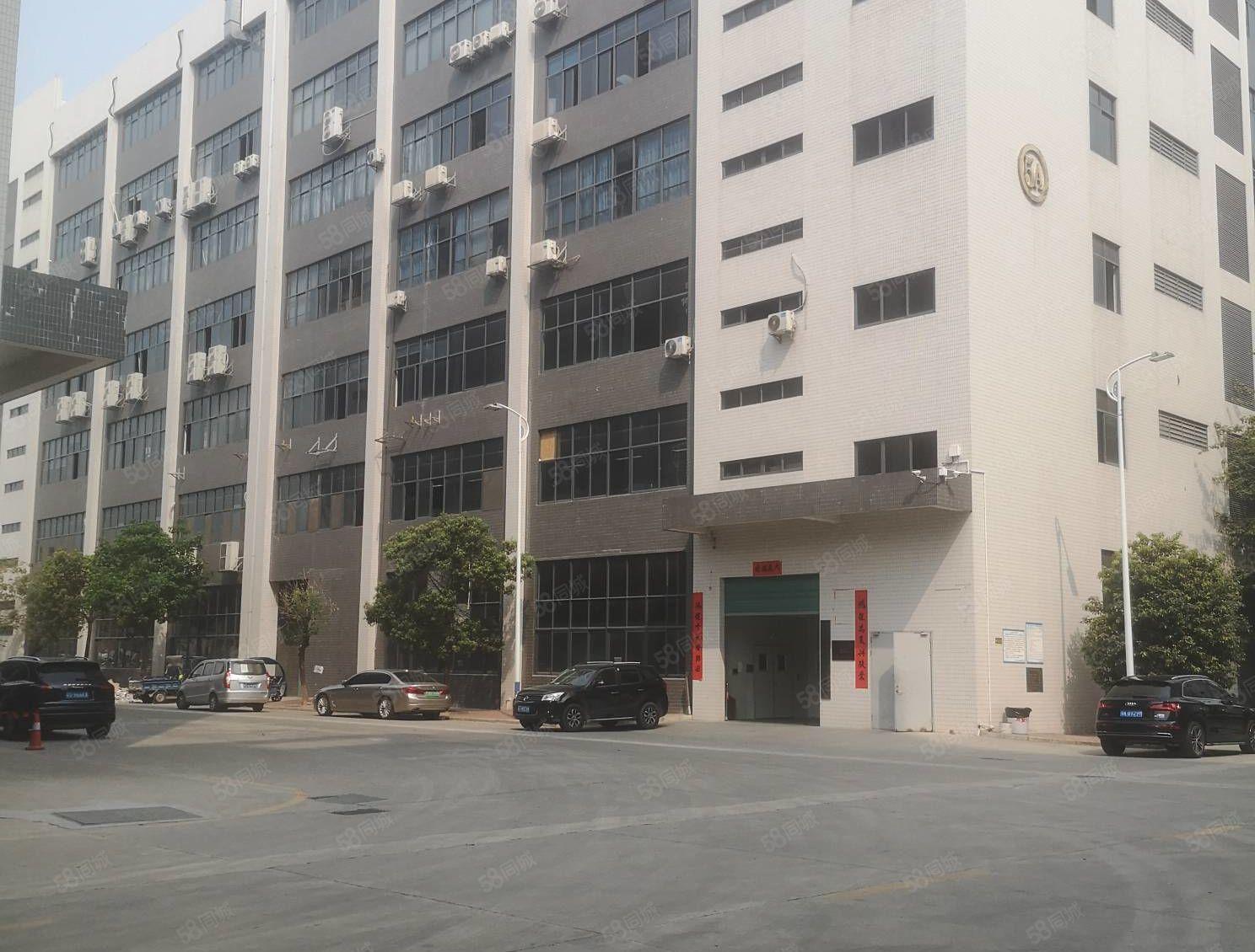 石湾镇 大型园区新出原房东楼上1000平厂房出租 带豪华装修