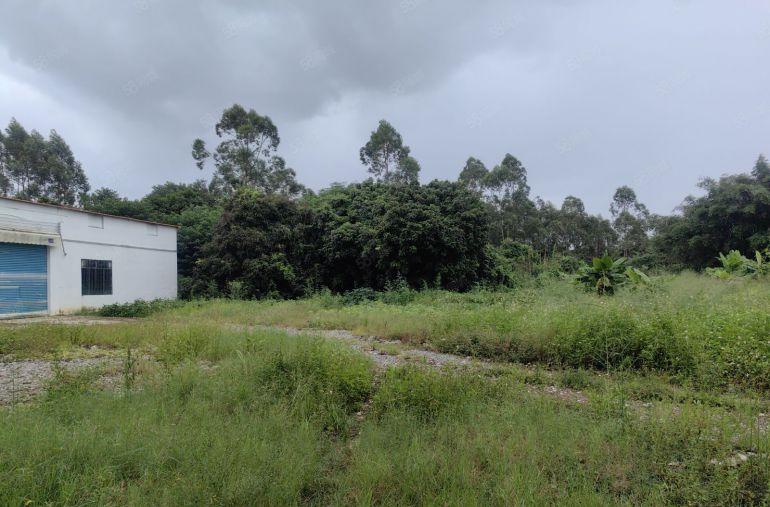 厂房出租 独门独院700平天大空地 周边无居民区