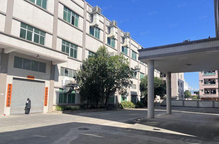 园洲新出租原房东独院，带独立办公室带牛角位适合电子五金加工等