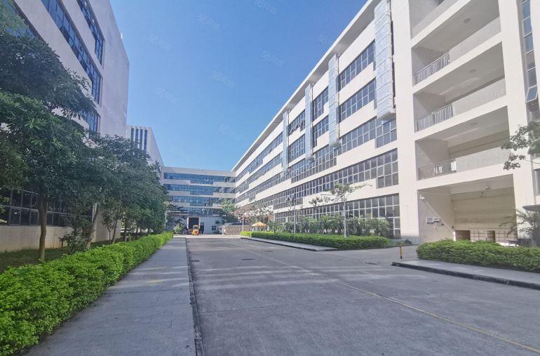 9元全新红本厂房博罗石湾科技园原房东出租精装修办公室可分租