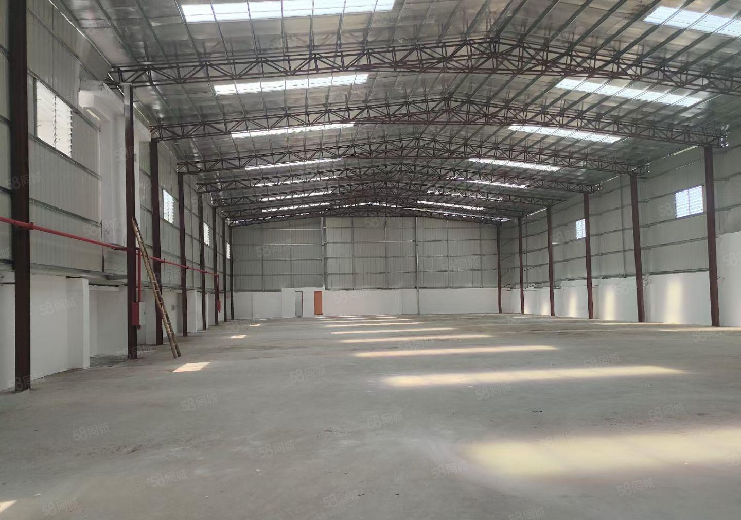 园洲全新独栋钢构1900平方，滴水8米，证件齐全，可办环评