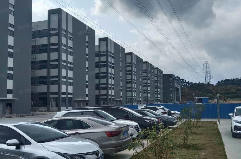 原房东直接招租全新标准厂房