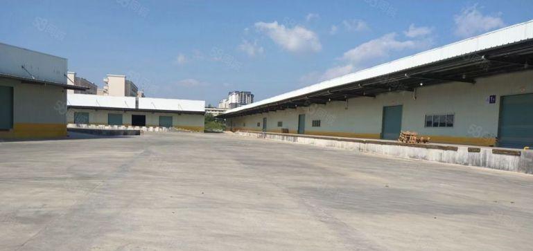 博罗长宁标准物流园钢构单一层19000平，超大空地，丙二类消