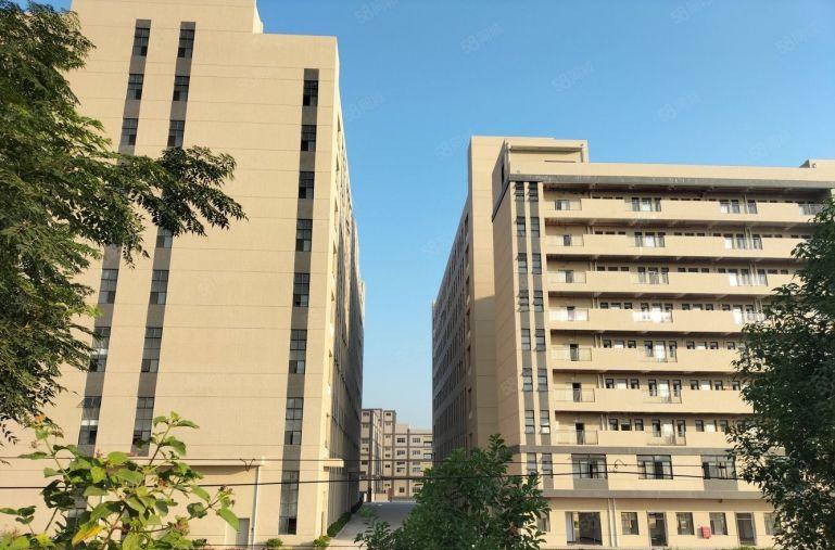 博罗园洲全新花园式标准厂房出租原房东离高速路口一公里