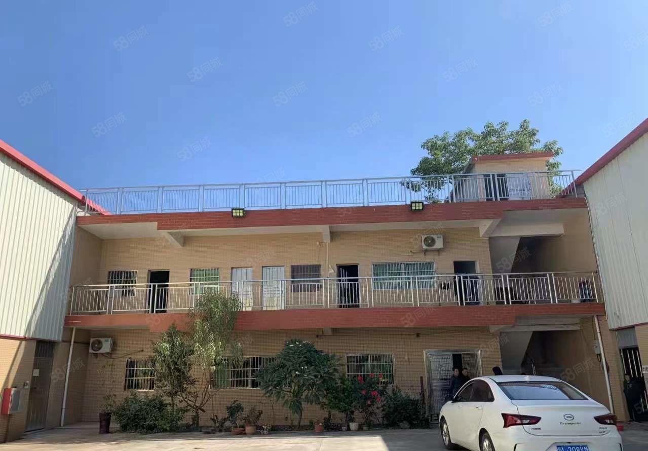 园洲桔龙独门独院形象极好厂房新砖墙9米单一层原房东招租