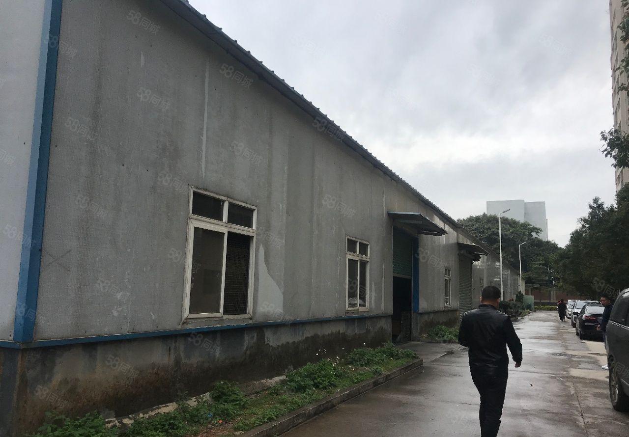 龙溪独院厂房出租价格优惠方正