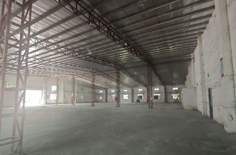 石湾单一层独院1100平方出租！租金只要11元一平方