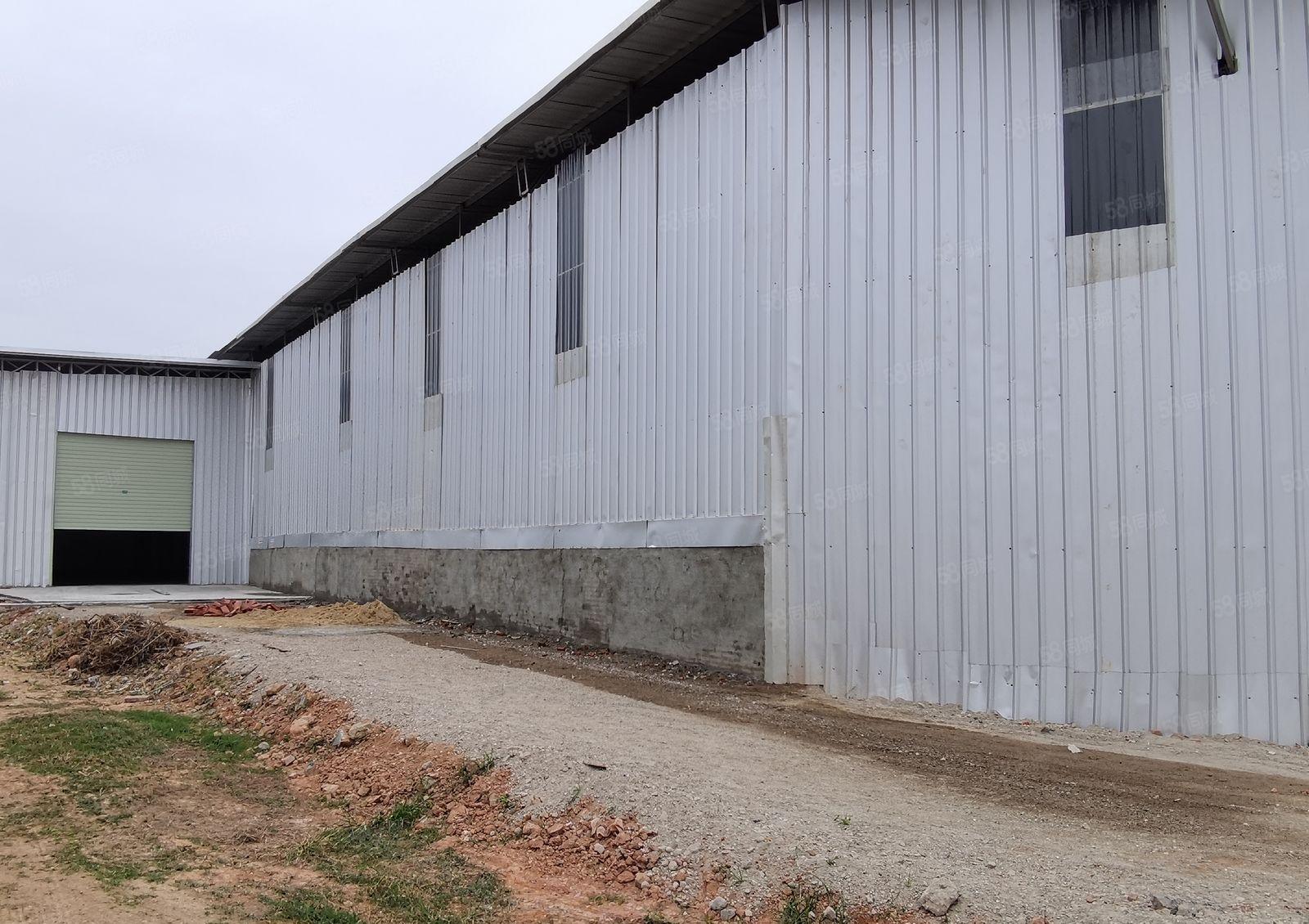 龙溪镇现成钢结构独院厂房招租1280平方 工业用地正规报建