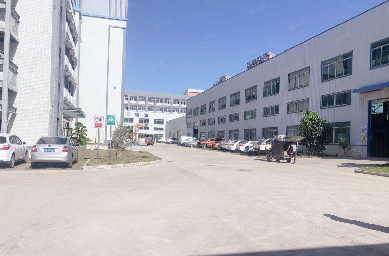 免租期3个月，园洲新出原房东滴水10钢构，主线到位，大小分租