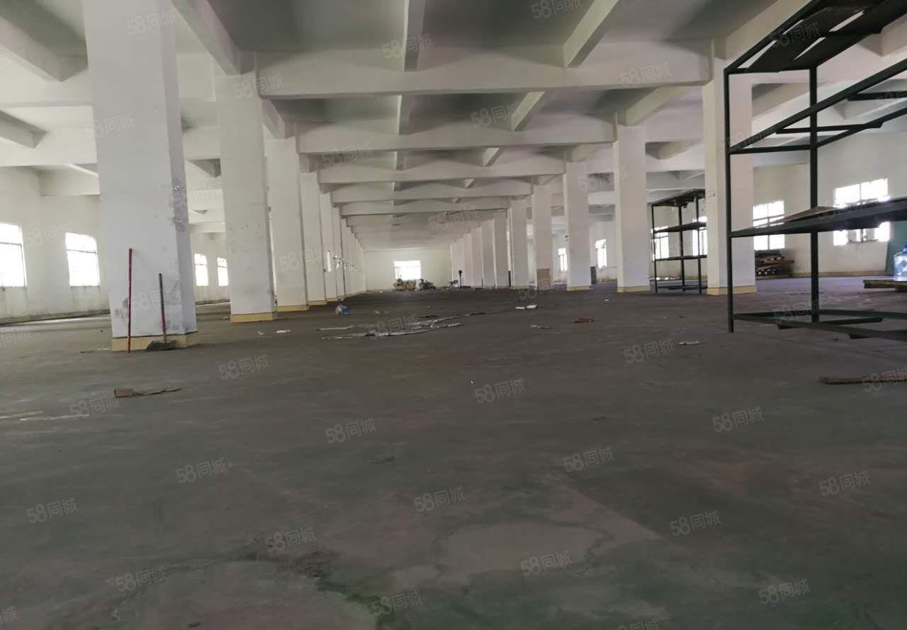 龙溪大道边厂房出租   超大空地   位置好