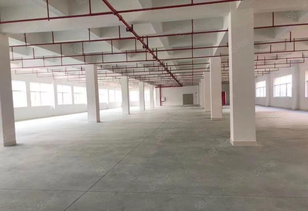 独院低价厂房出租，可办环评