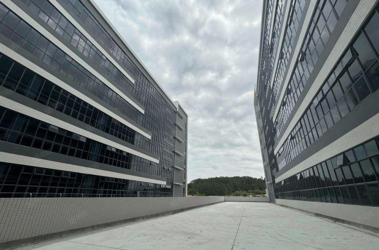 博罗罗阳8元厂房出租500起租5吨大货梯